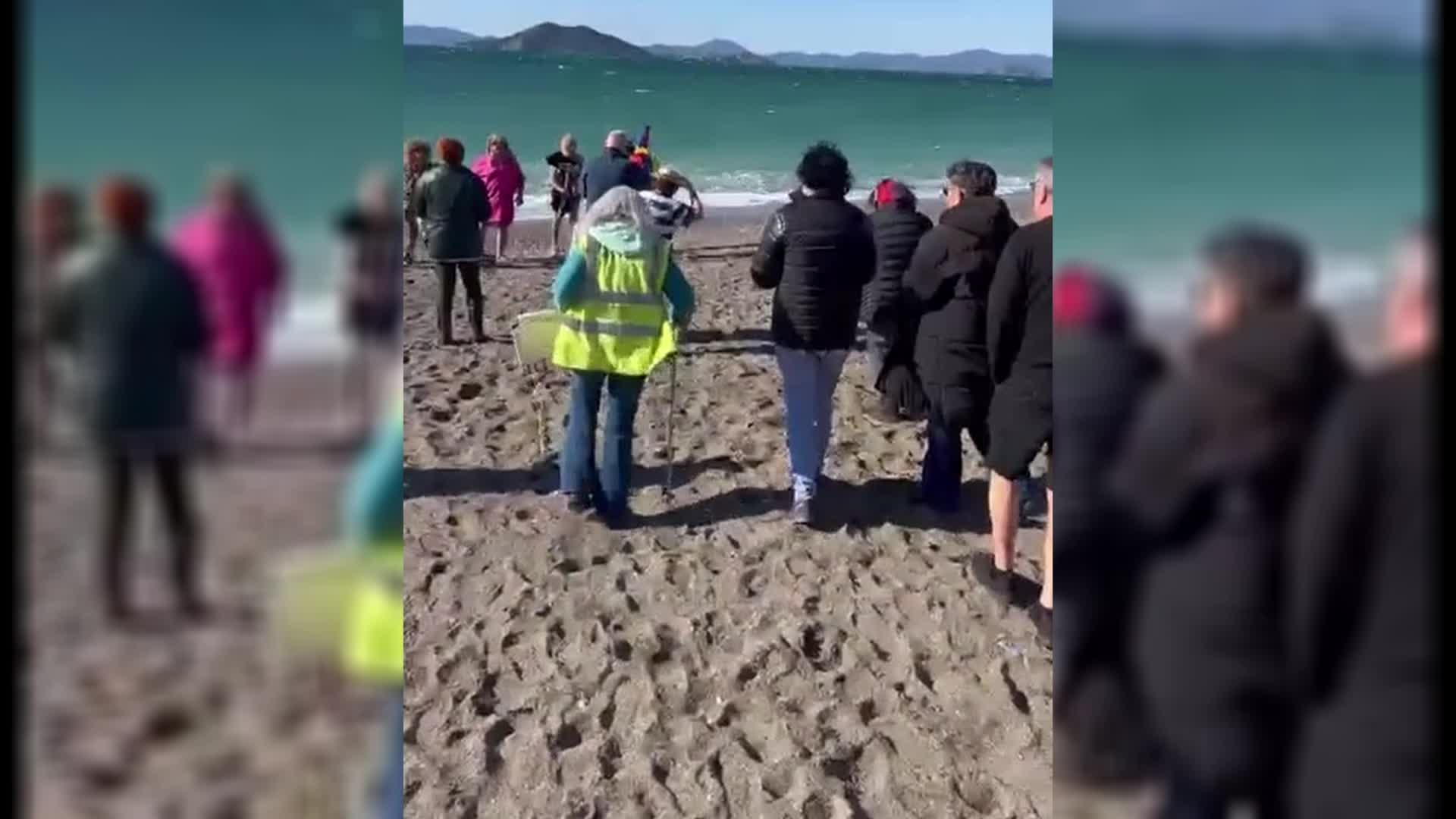 Fethiye'de yerleşik yabancılar yardıma muhtaç çocuklar ve sokak hayvanları için Çalış Plajı'nda bağış etkinliği yaptı