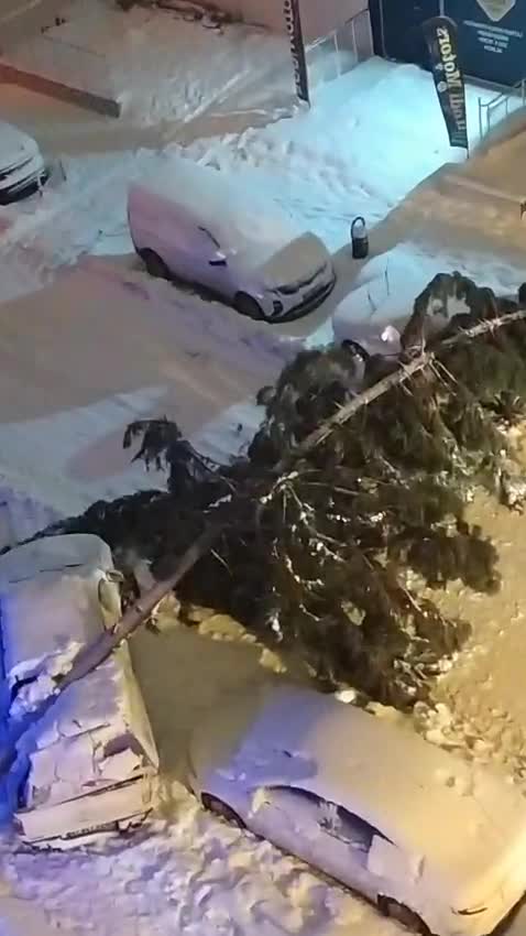 Mardin’de yoğun kar yağışı hayatı olumsuz etkiledi