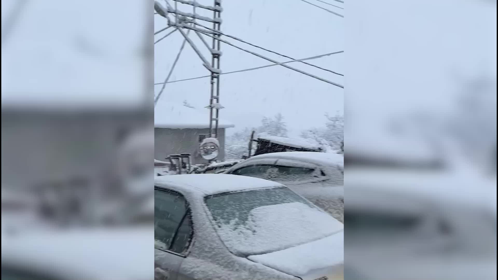 Giresun'da kar yağışı nedeniyle 242 köy yolu kapandı, motokuryelere geçici yasak geldi