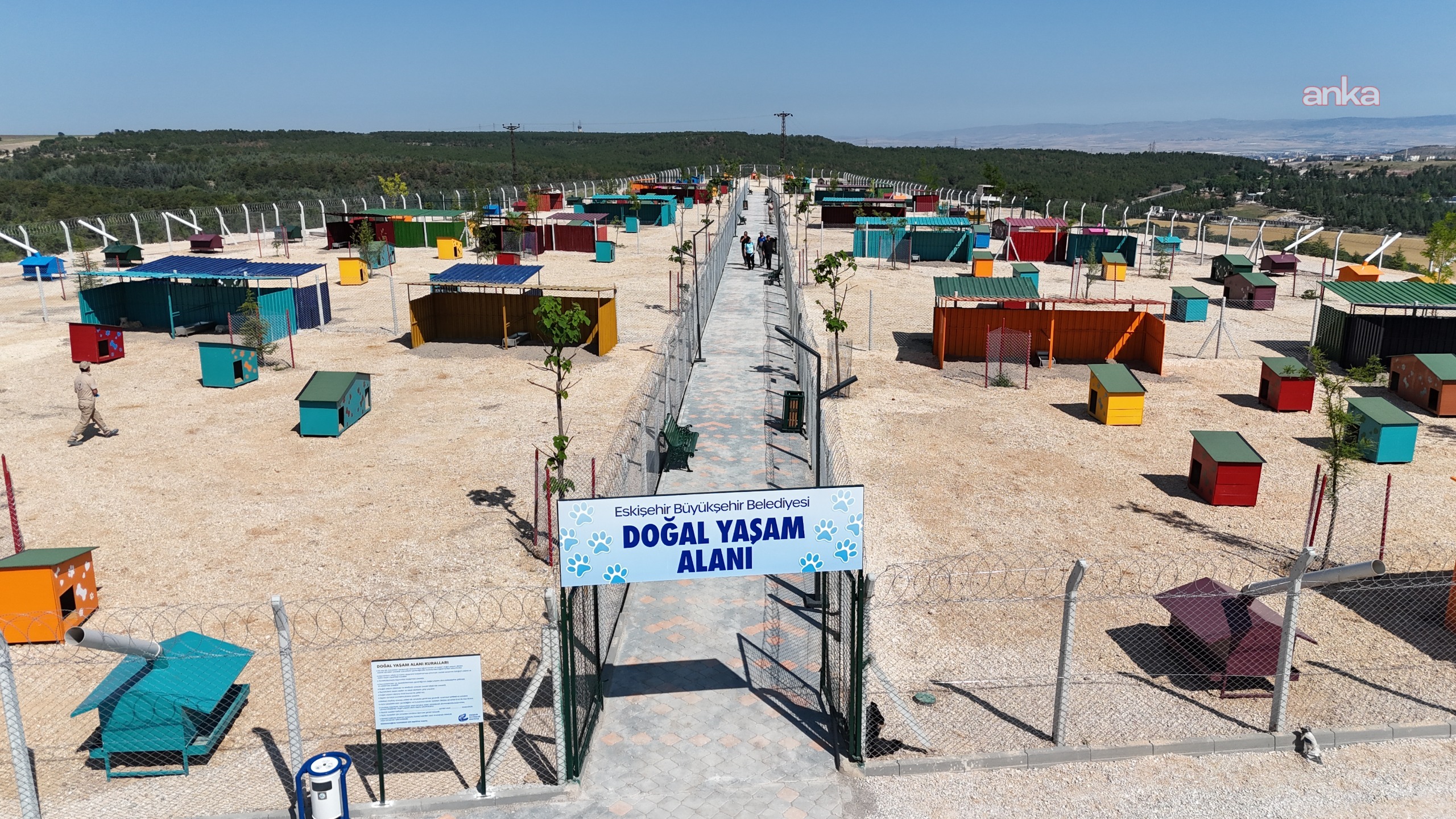 Eskişehir Büyükşehir Belediyesi'nden 2025’te doğaya  ve can dostlara güçlü destek