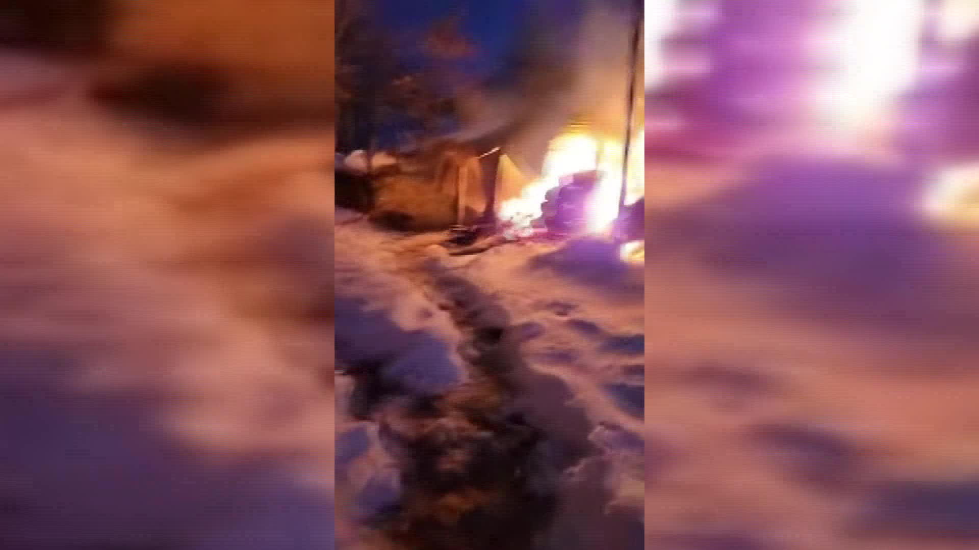Sinop'ta ahır yangını: 9 büyükbaş hayvan telef oldu
