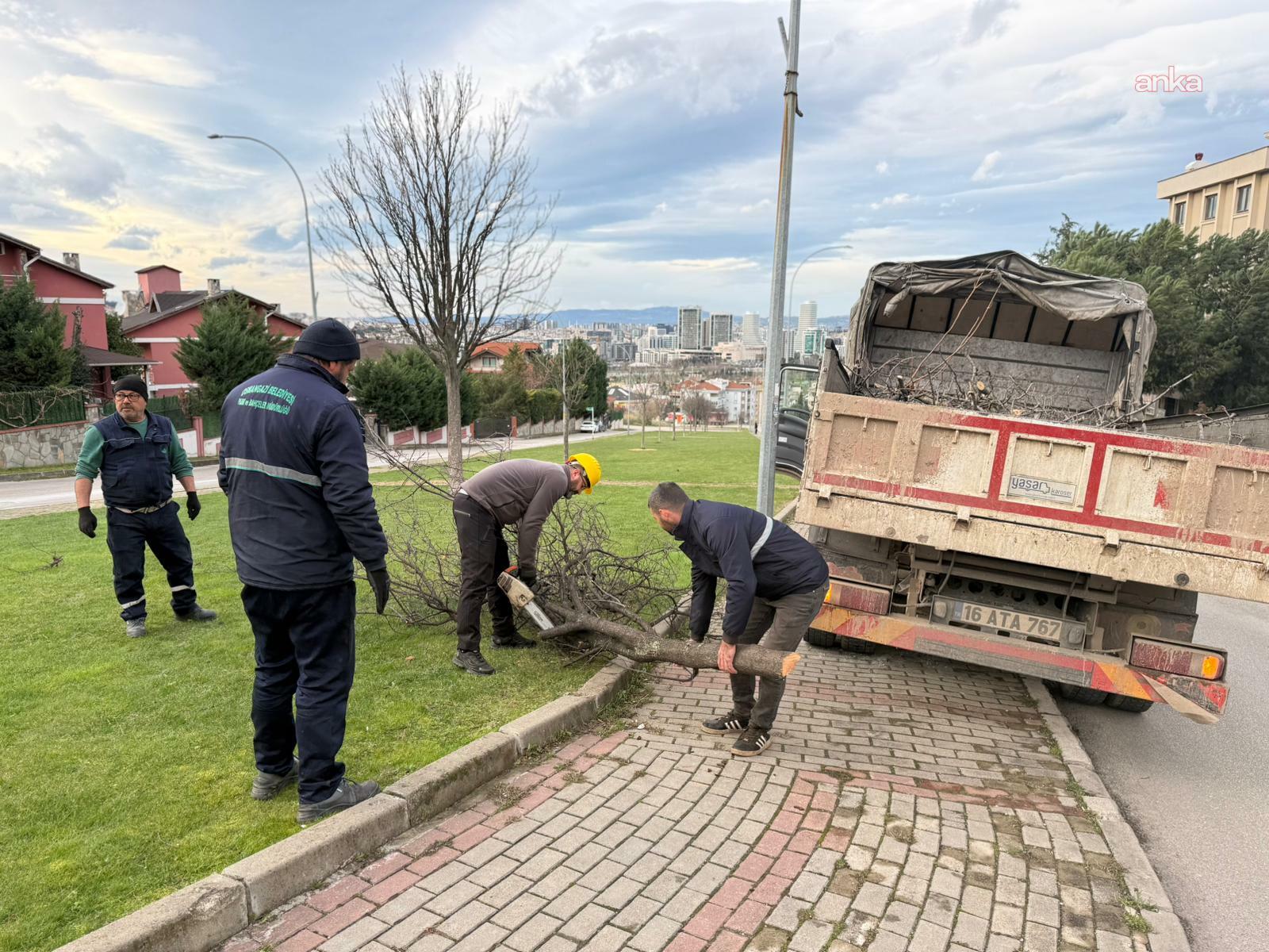 Osmangazi Belediyesi’nden şiddetli lodosun devirdiği ağaçlara hızlı müdahale