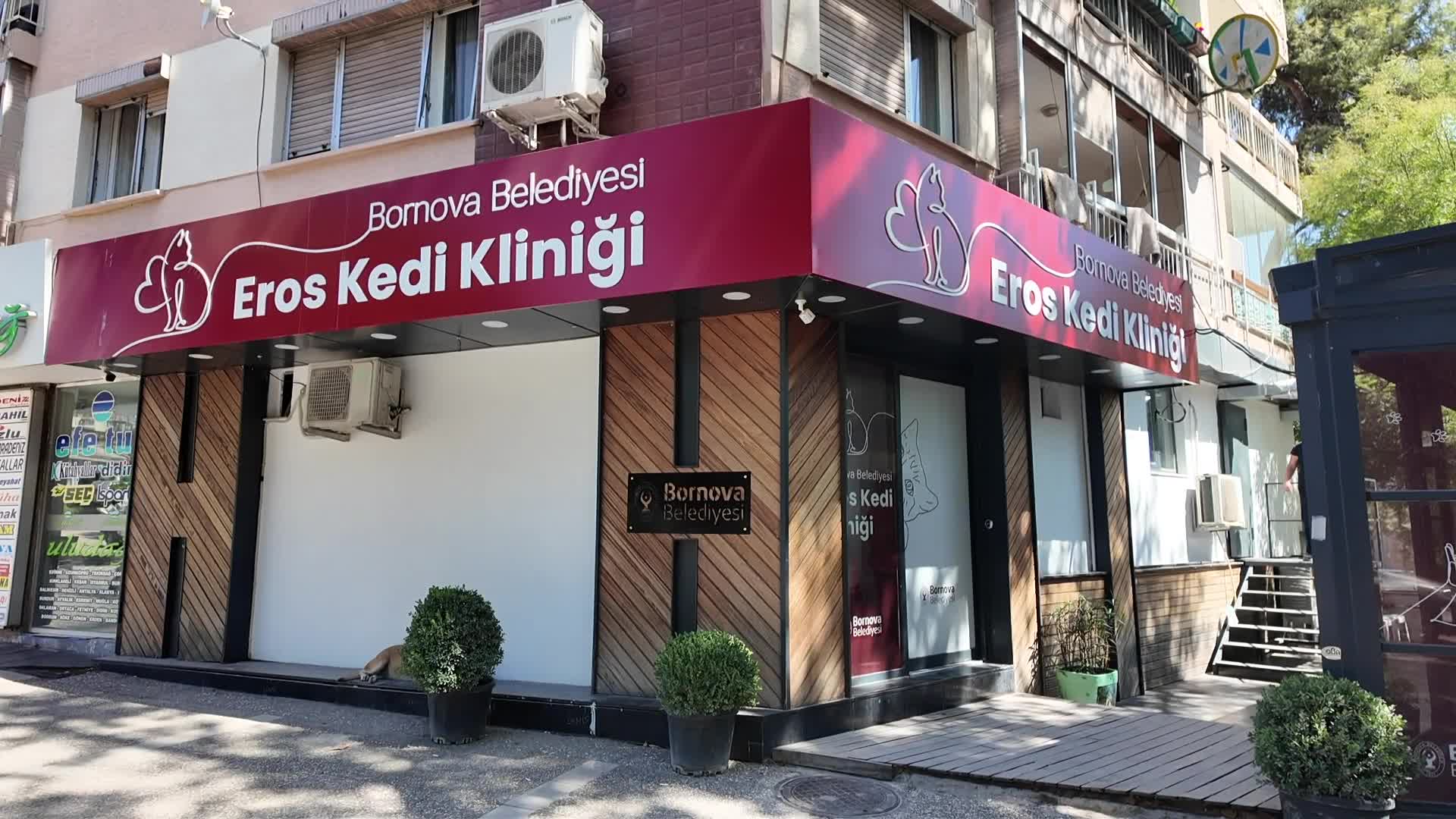 Bornova Belediyesi Eros Kedi Kliniği, 4 ayda bin 901 kediyi kısırlaştırdı