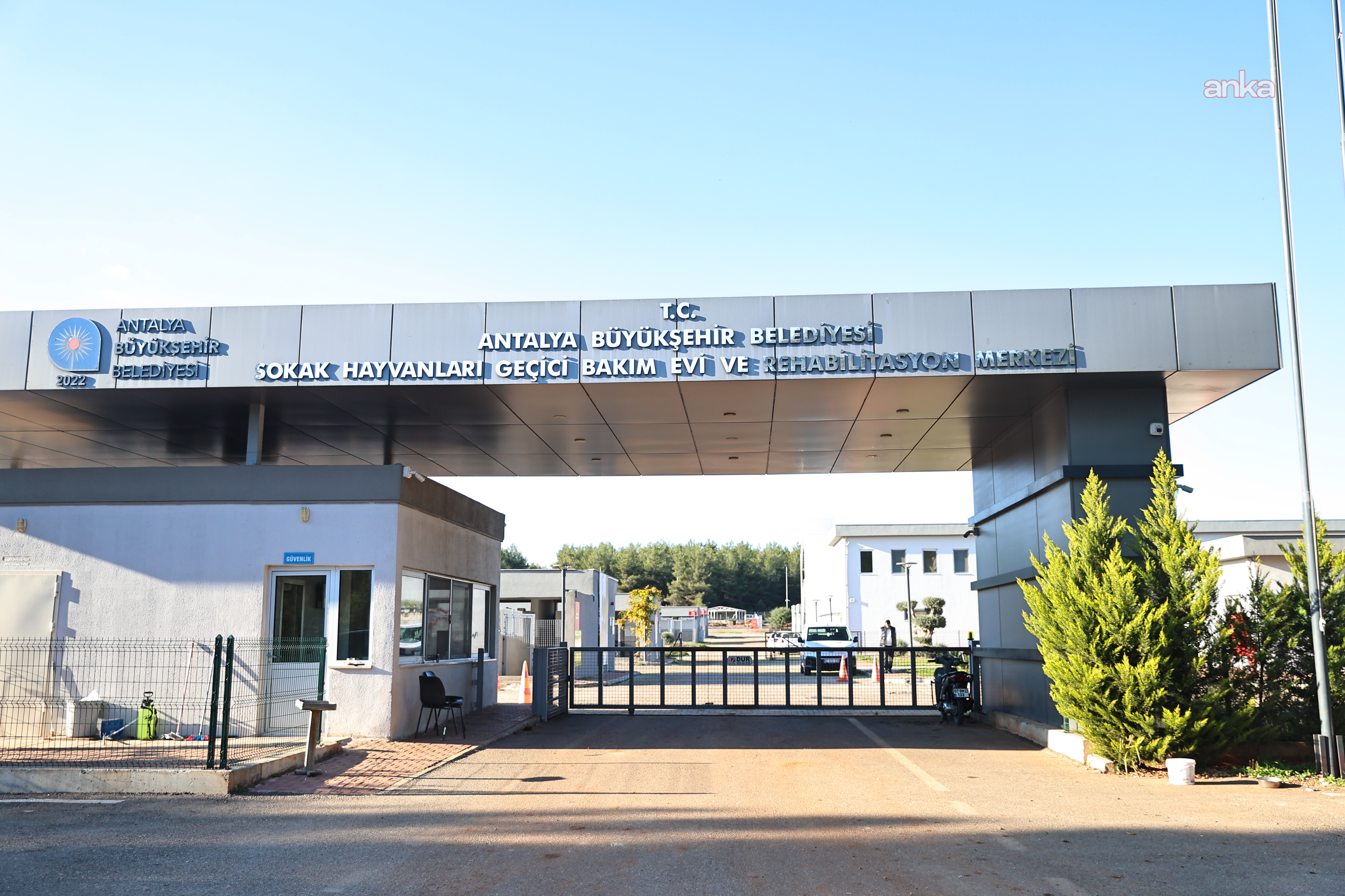 Antalya Büyükşehir Belediyesi, 2025 yılında can dostların yaşam koşullarını iyileştirmek için çalıştı