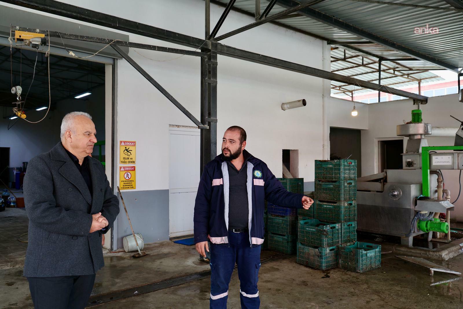 Çine Belediyesi, uygun fiyatlı zeytin sıkım hizmetini sürdürüyor