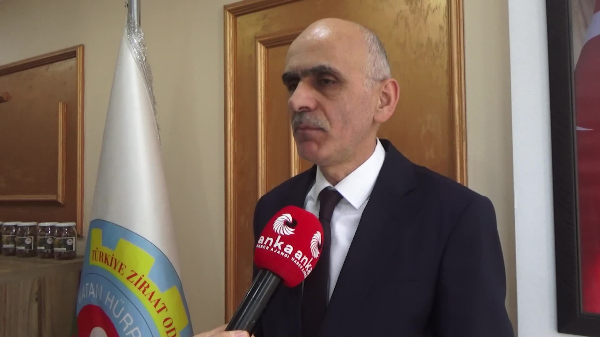 Giresun Ziraat Odası Başkanı Karan: "Kokarcanın fındığa verdiği zarar yaklaşık 100 bin ton"