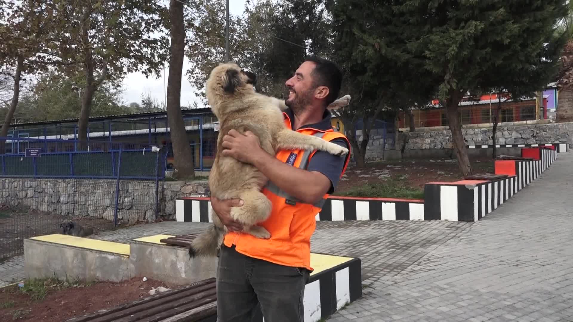 Kuşadası Belediyesi, can dostlara yönelik hizmetlerini sürdürüyor