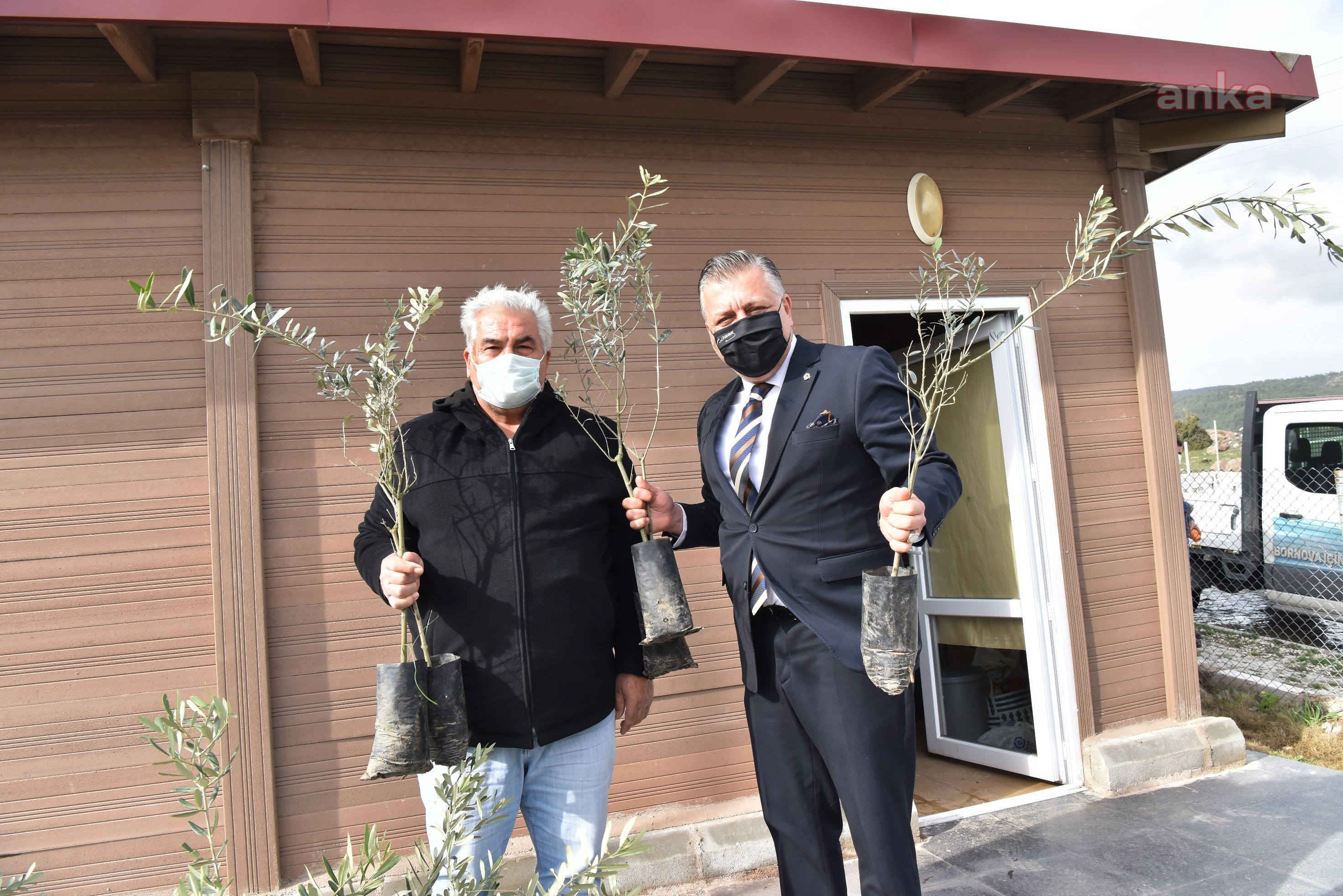 BORNOVA'DA ÜRETİCİLERE 5 BİN FİDAN DAĞITILDI