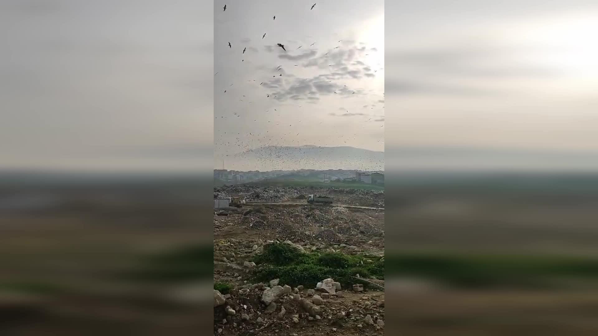 Çevre Bakanlığı: Katı atık tesisinde vahşi depolama yapan Bursa Büyükşehir Belediyesi'ne 1.8 milyon TL ceza