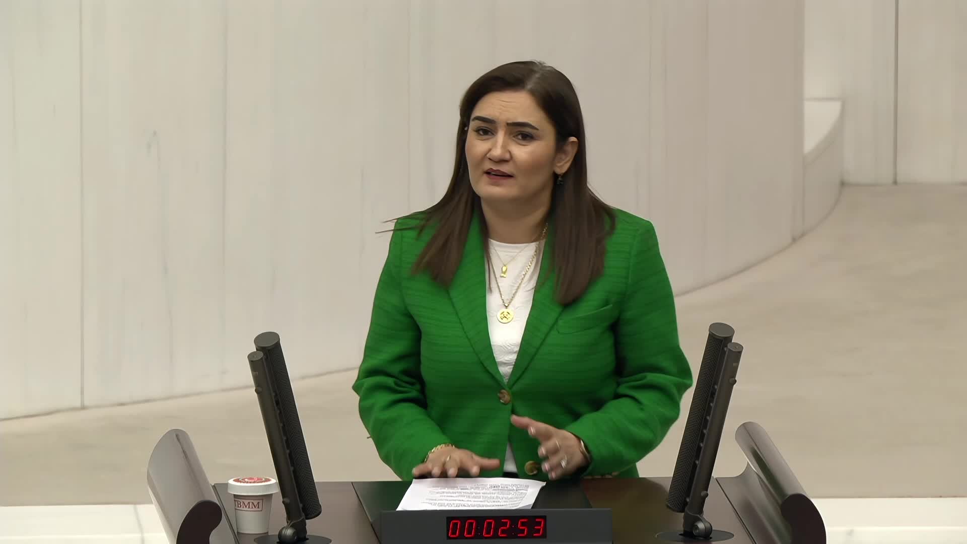 CHP'li Sevda Erdan Kılıç: “Emekli sadaka değil, gasbedilen onurunu istiyor"