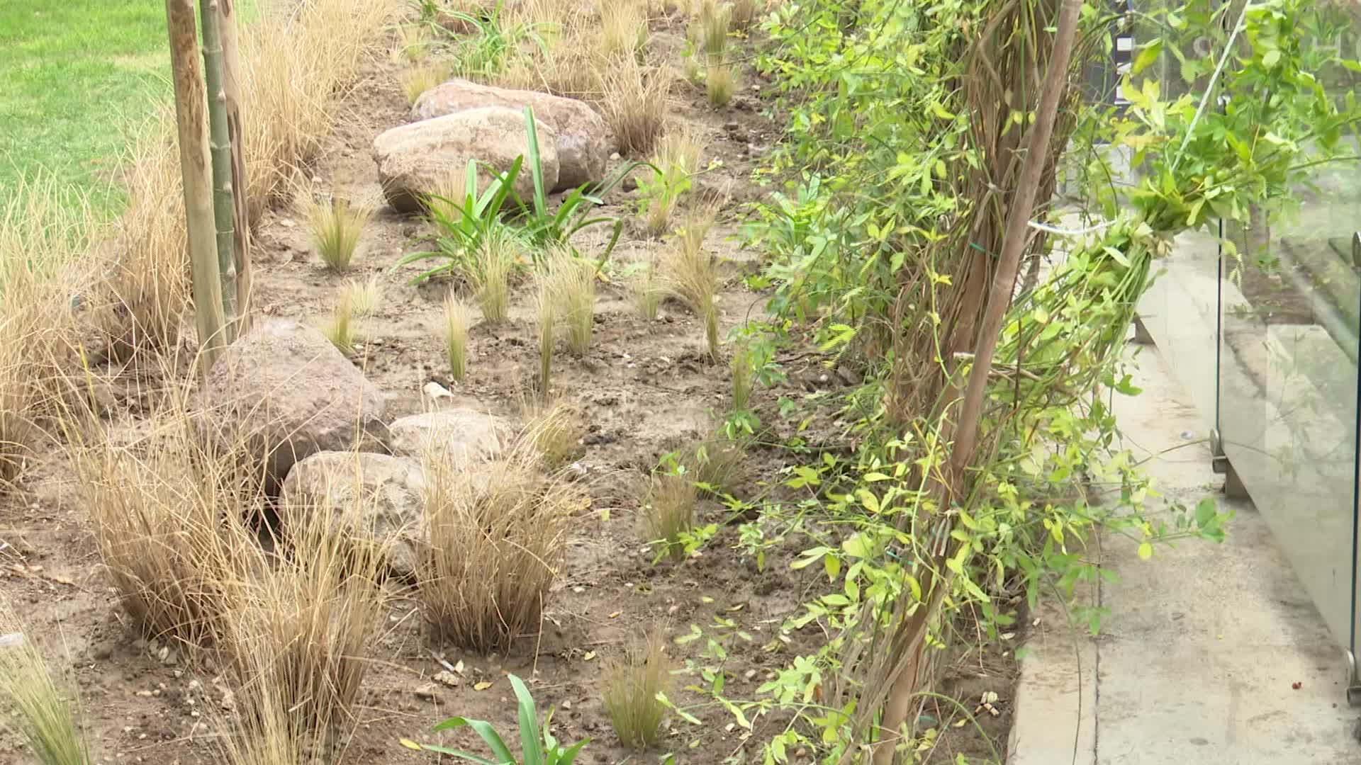 İzmir Büyükşehir Belediyesi'nden duraklara yeşil dokunuş