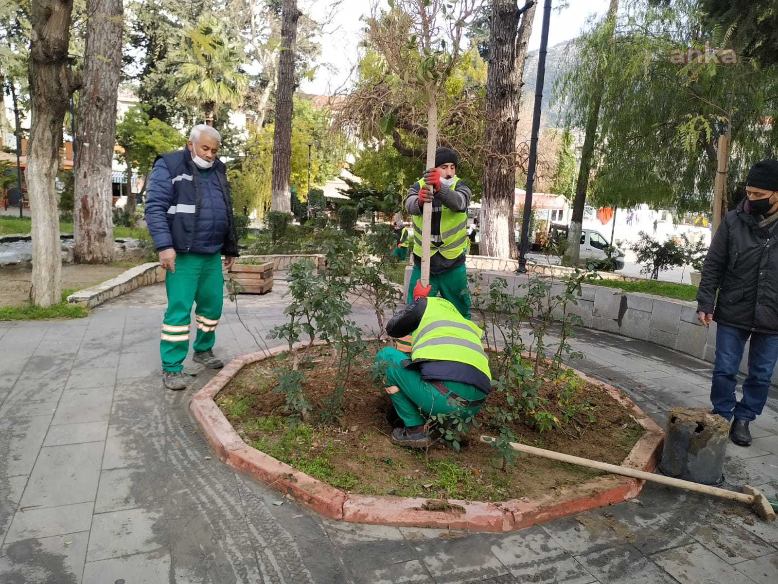 YEMYEŞİL BİR HATAY İÇİN BÜYÜKŞEHİR BELEDİYESİ AĞAÇLANDIRMA ÇALIŞMALARINI SÜRDÜRÜYOR
