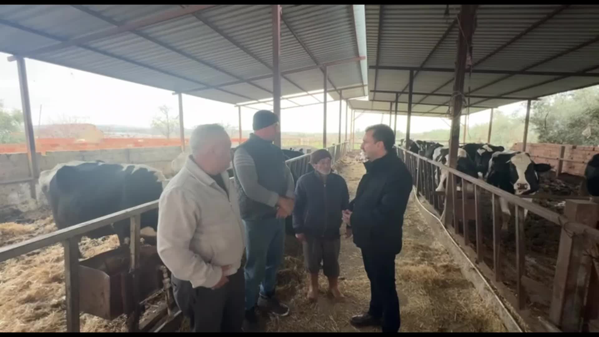 Manisalı besicilerden çiğ süt fiyatına tepki: "Eskiden 4 inek dahi bir evi geçindiriyordu, şu an 10 tanesi geçindiremez"