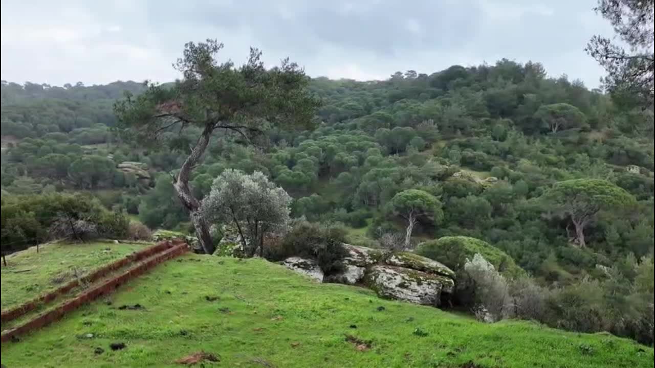 Aydın'da kül depolama projesine tepki: "Bafa'ya, Menderes'e, Ege'ye zehir taşınacak"