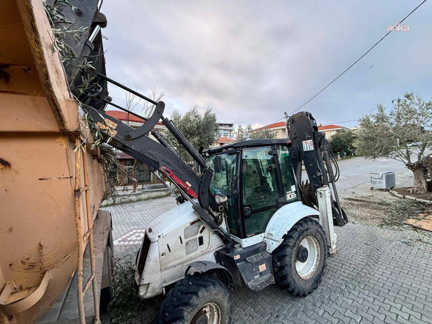 Ayvalık Belediyesi Park ve Bahçeler ekiplerinden kış mesaisi