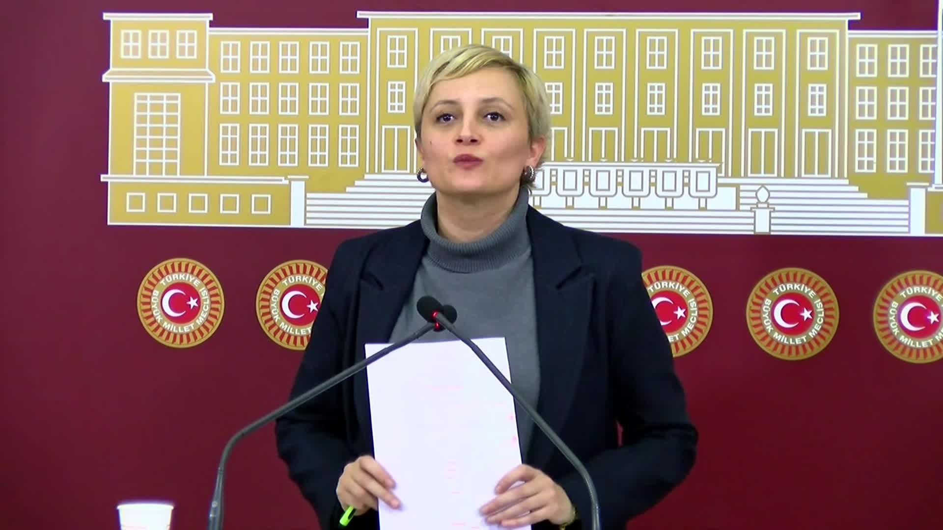 DEM Parti Milletvekili Koca: "Mersin Uluslararası Liman İşletmeciliği'nde 185 işçi, daha insani çalışma koşulları istedikleri için işten çıkarıldı"