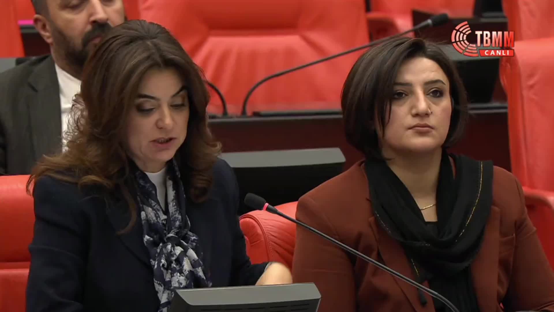 TBMM Genel Kurulu... DEM Partili Koçyiğit: Bir siyasi partinin, bir milletvekilinin, bir grup başkan vekilinin görevi Aleviliği tarif etmek değildir