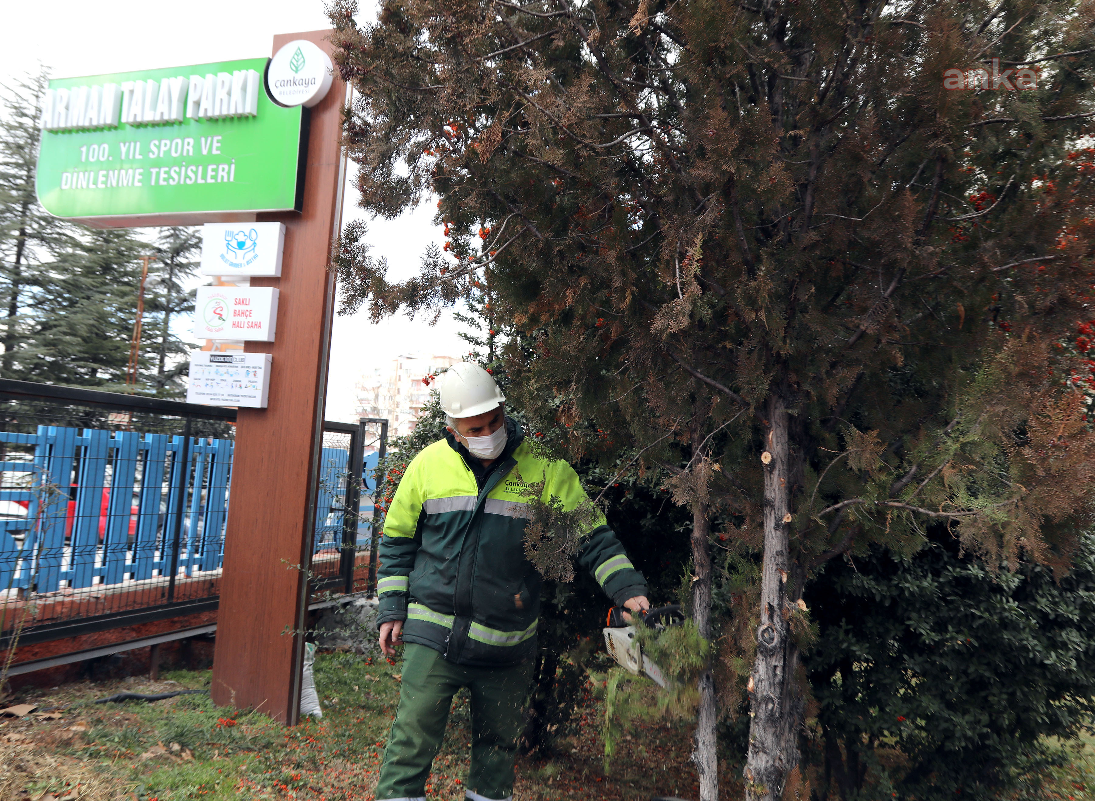 ÇANKAYA SOKAKLARINDA BAHAR HAZIRLIĞI