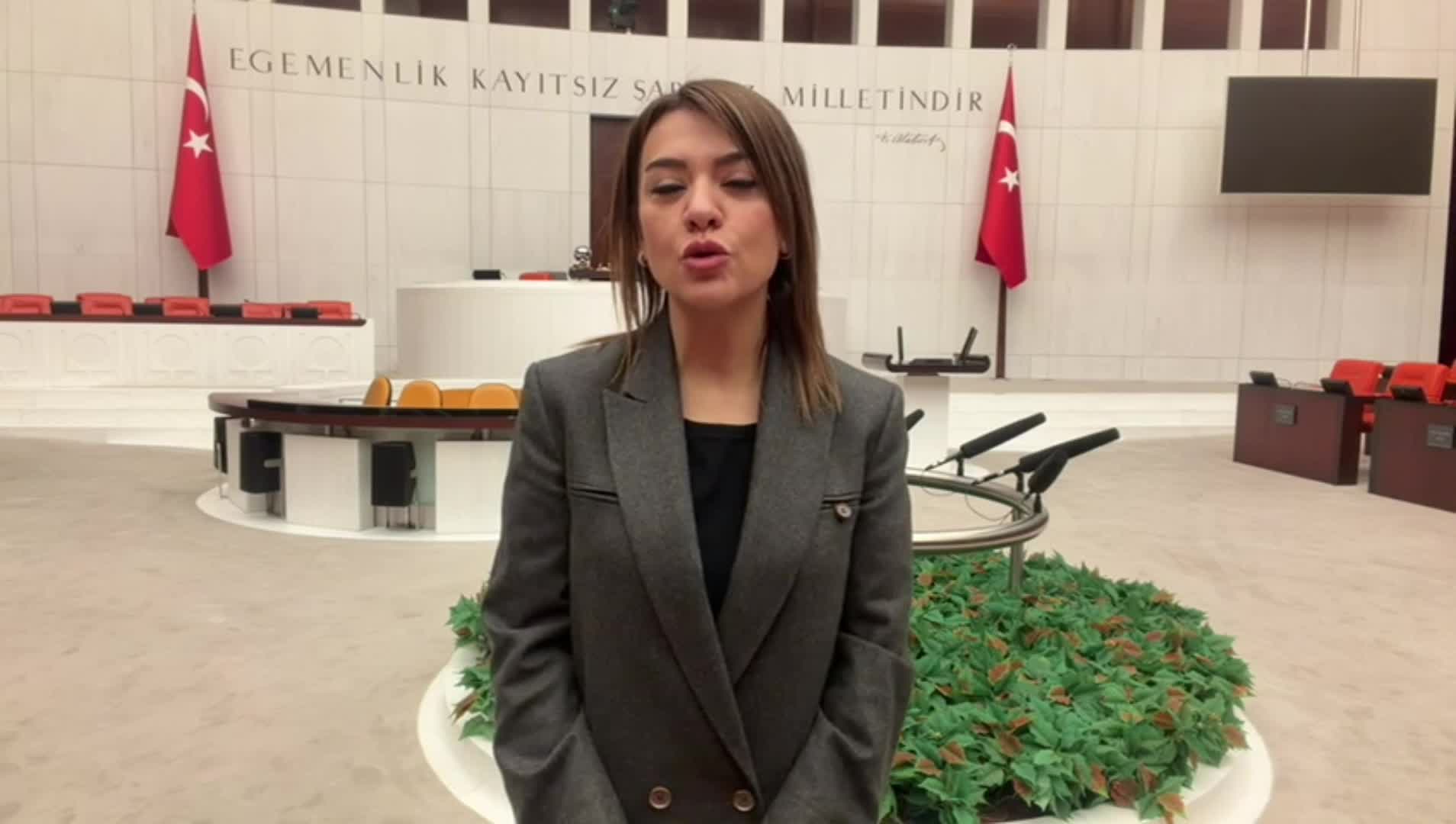 CHP’nin "Meclis’i terk etmeme" eylemi 9'uncu gününde devam ediyor... Gamze Şengel Taşcıer: "İş emekli aylıklarına gelince kaynak yok. Emeklinin sofrasından kısıyorlar, yandaşın kasasını dolduruyorlar"