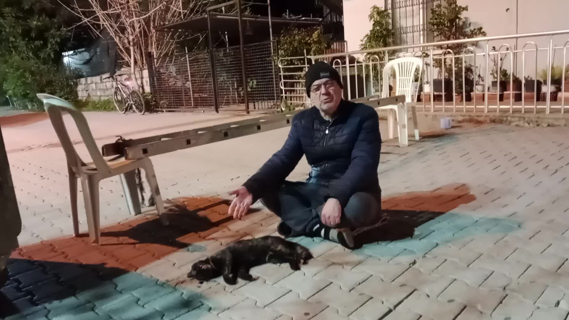Baktığı sokak kedisi ezilince sokağı kapattı