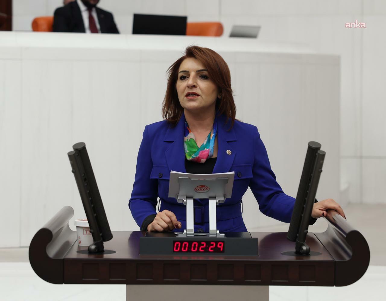 CHP’li Gülcan Kış: "Cumhurbaşkanlığı bütçesi yetmedi, 2026 için yüzde 35 artırıldı"