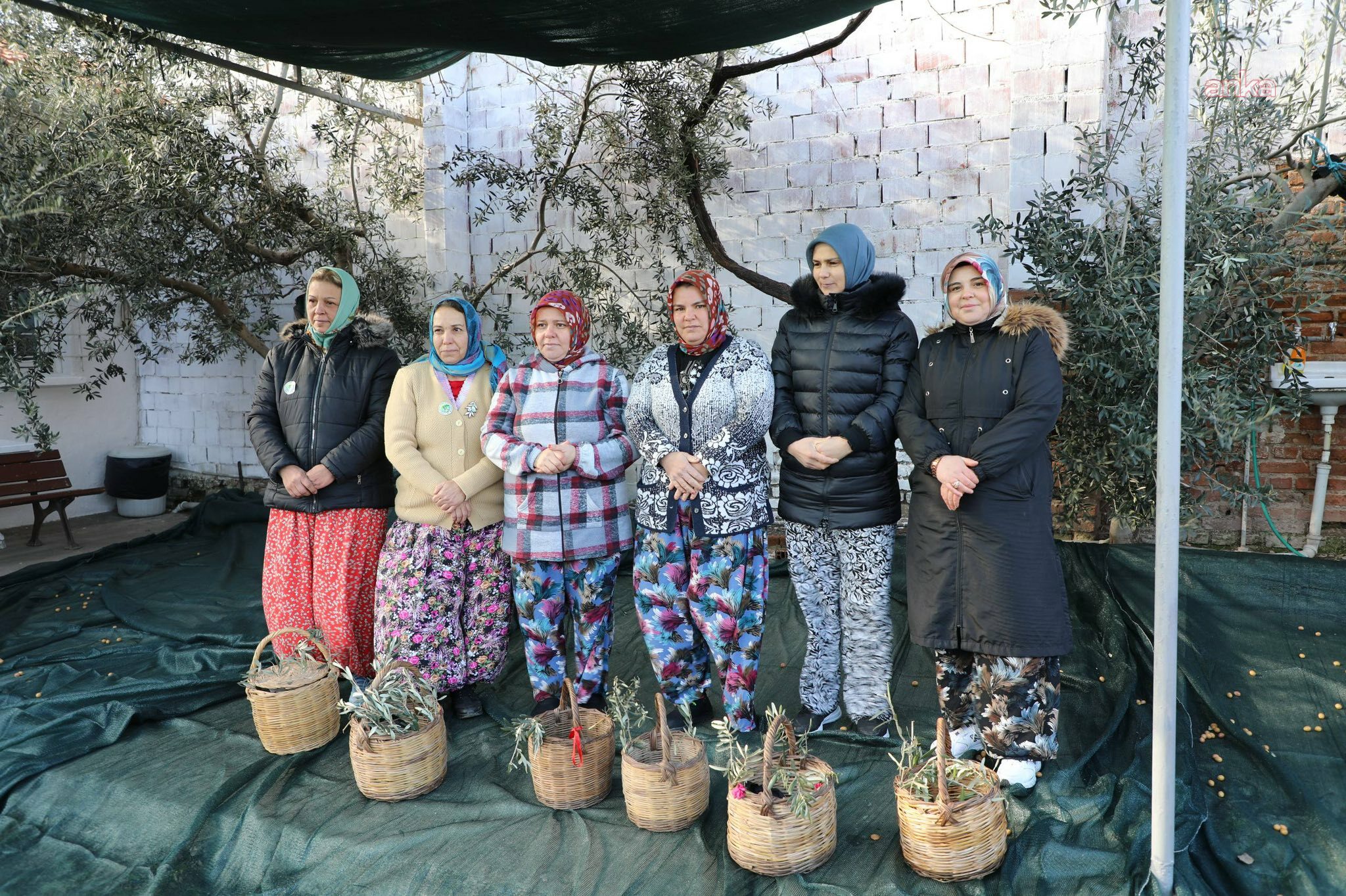Edremit'te düzenlenen “Meci Şenliği” renkli etkinliklerle sona erdi