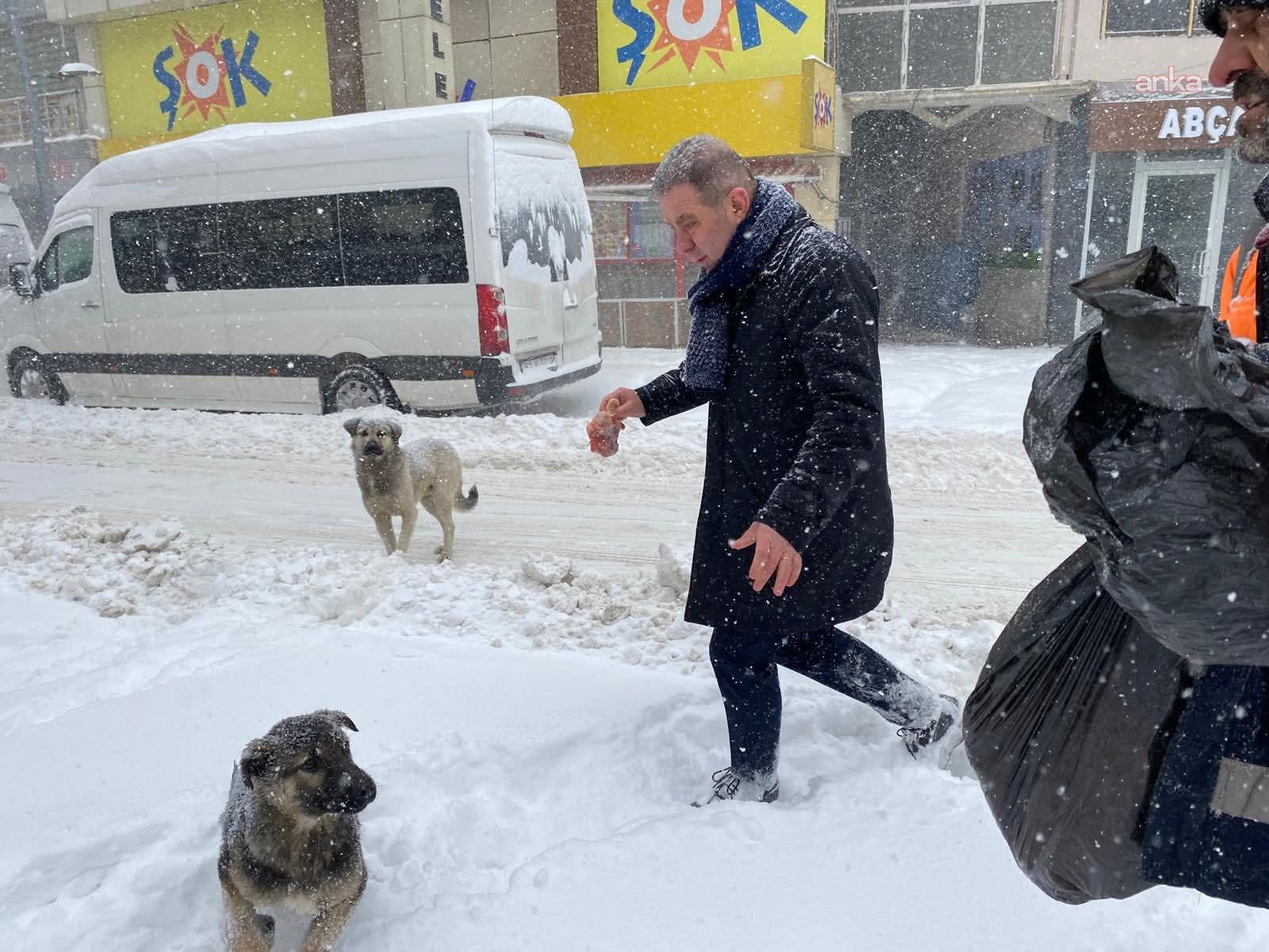 Gürgentepe Belediyesi'nden sokak hayvanlarına mama