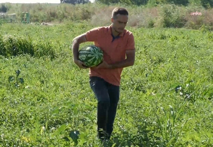 "Çiftçinin anası ağlıyor" diyen çiftçi beraat etti... Mahkeme, sözleri "eleştiri hakkı ve düşünce özgürlüğü" kapsamında değerlendirdi