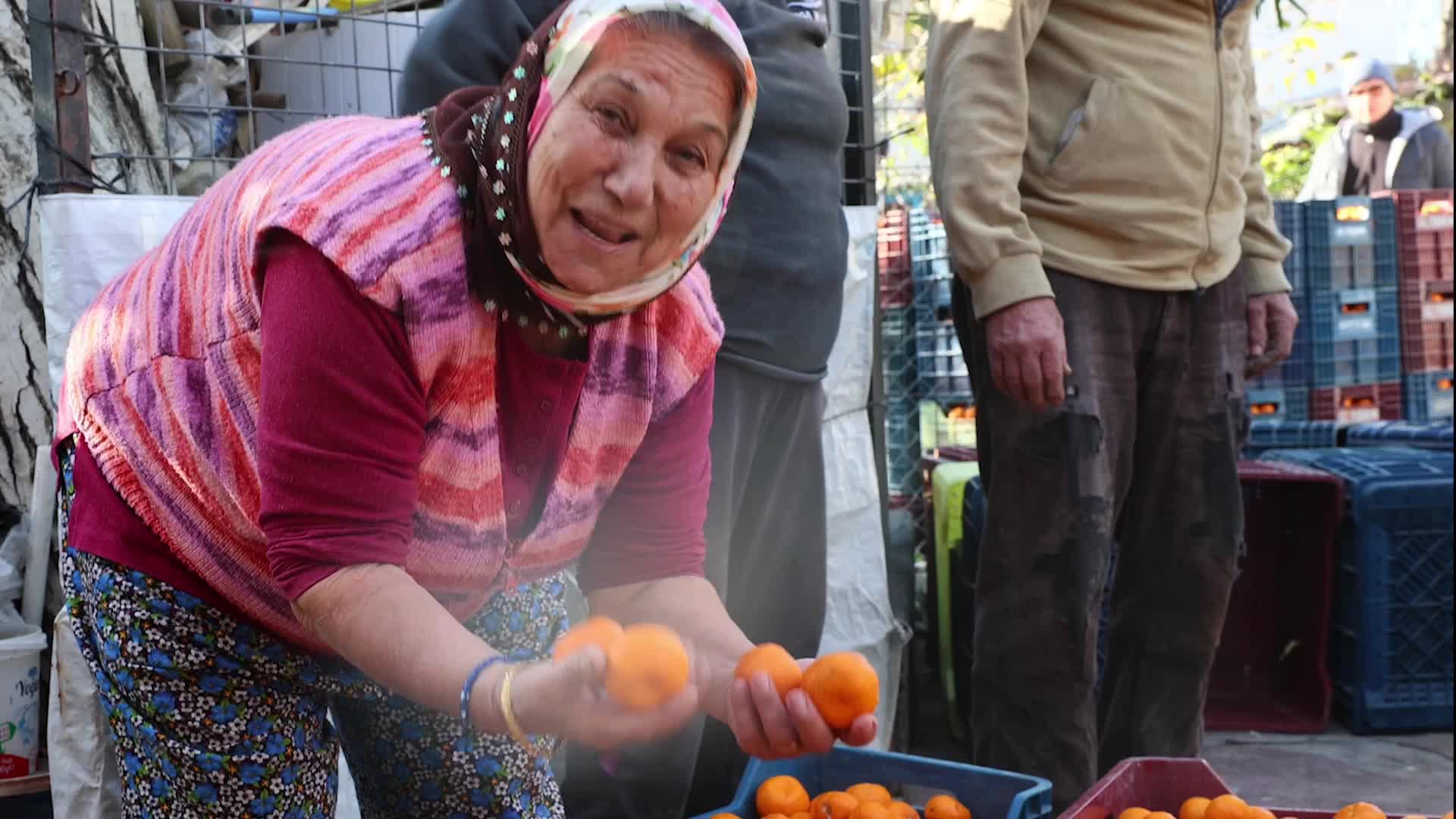 Coğrafi işaretli Bodrum mandalini, tüketiciyle doğrudan buluşuyor