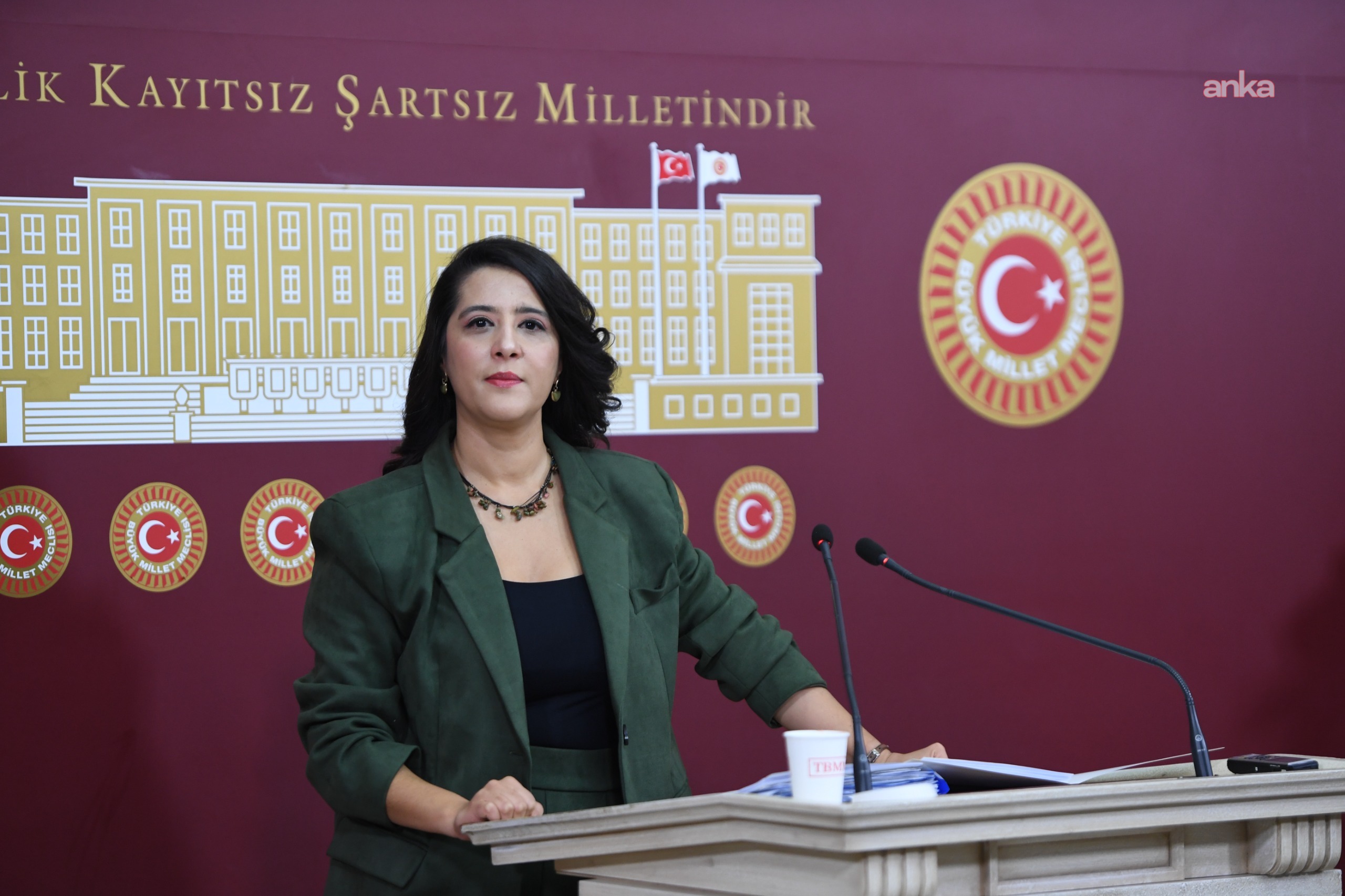 EMEP'li Karaca,  Çanakkale Dardanos Orman Kampı’nın özelleştirilmesini TBMM gündemine taşıdı