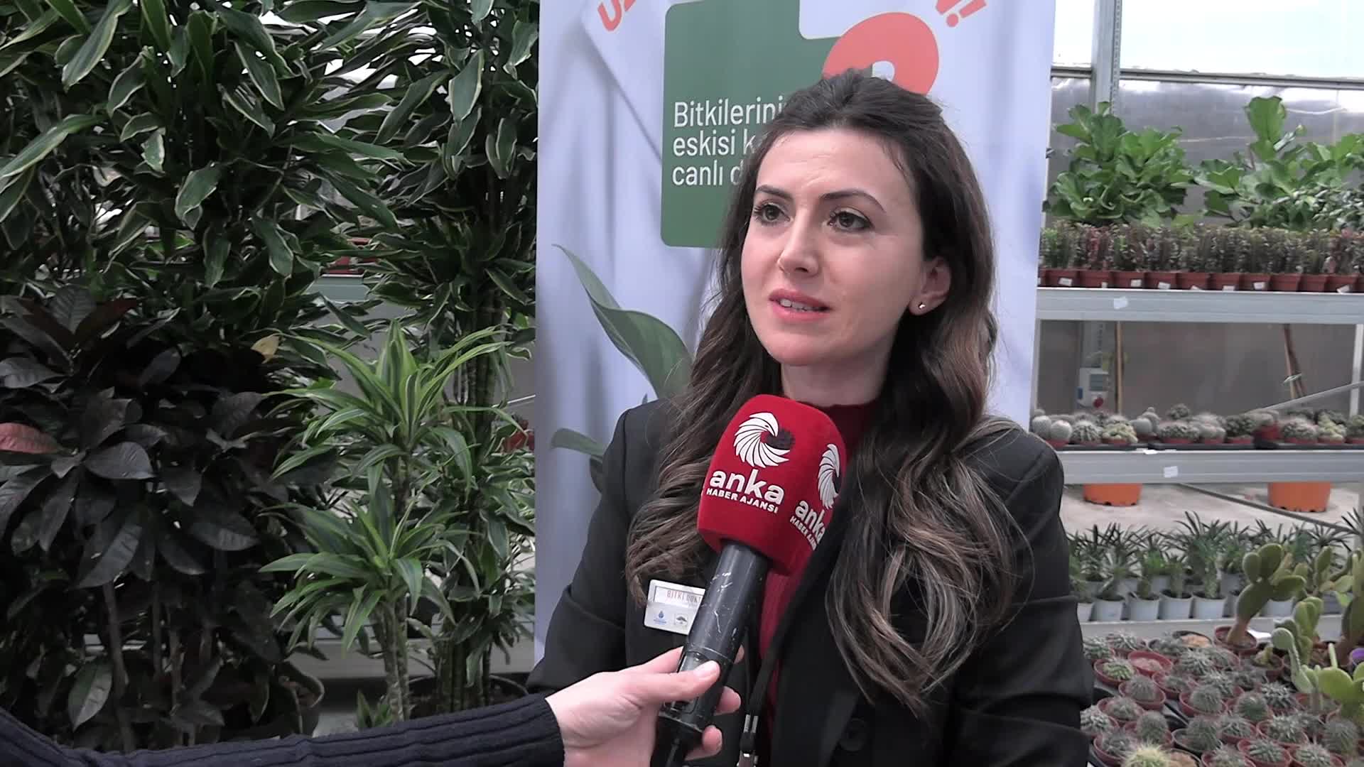 Bahçe Marketlerde “Bitki Doktoru” projesi başladı... Yıl boyunca her türlü bitki ile ilgili bilgi ve muayene ücretsiz