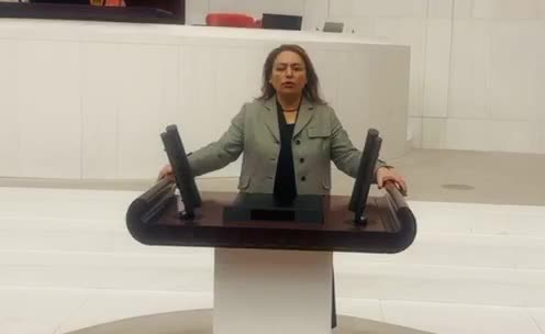 CHP’nin Meclis’teki emekli nöbeti... Müzeyyen Şevkin: "Emekliyi açlık sınırı altında 20 bin liraya mahkum edecek madde AKP ve MHP oylarıyla kabul edildi"