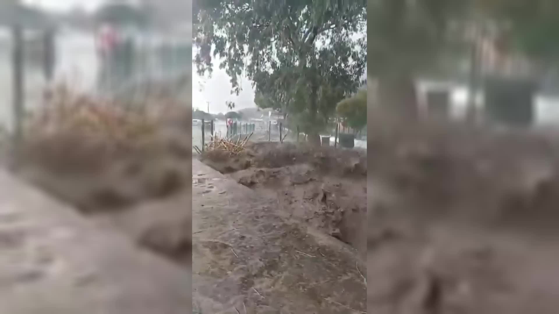Aydın'ın Söke ilçesinde şiddetli yağışlar sele neden oldu