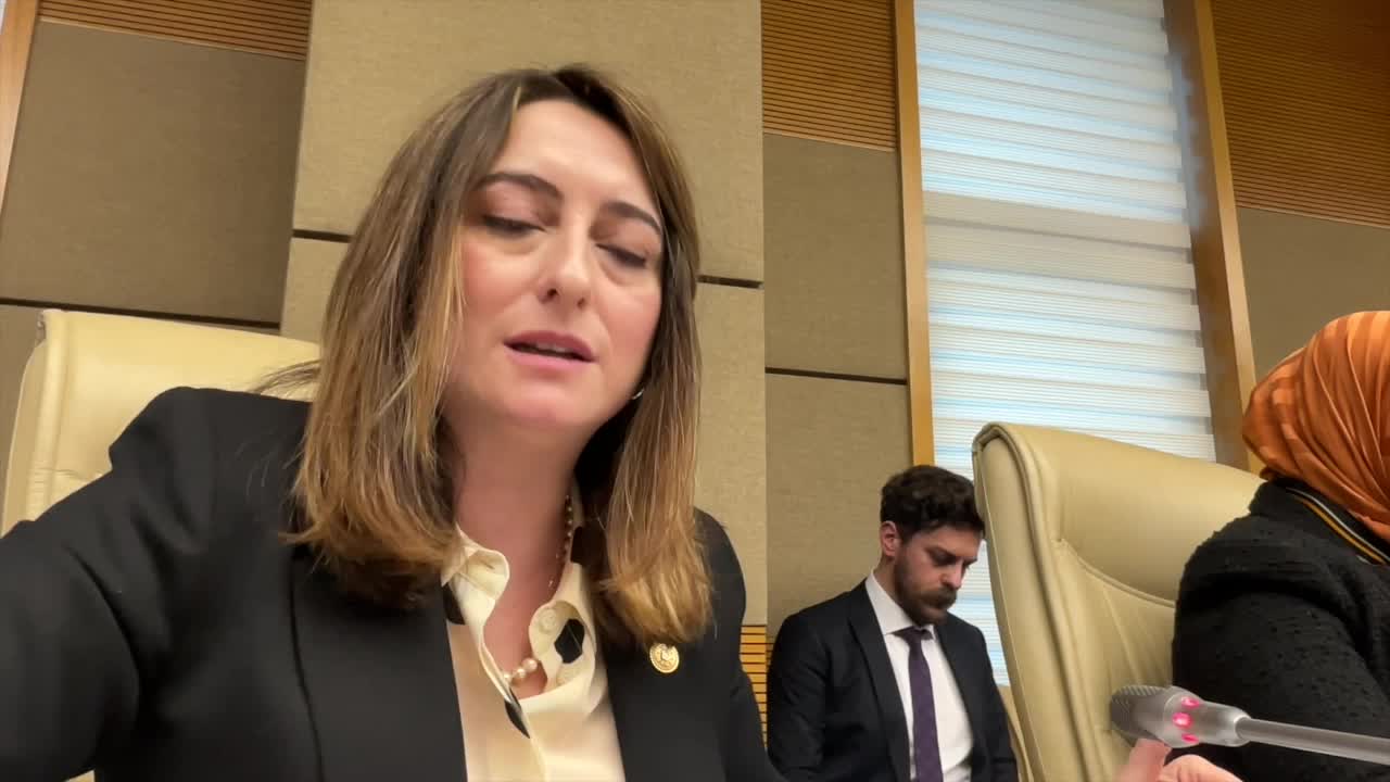 Suça Sürüklenen Çocuklara İlişkin Araştırma Komisyonu... CHP'li Bankoğlu: Pavyondaki kız çocuklarının istismara uğramasından rahatsız olmuyorsunuz da benim konuşmamdan mı rahatsız oluyorsunuz?