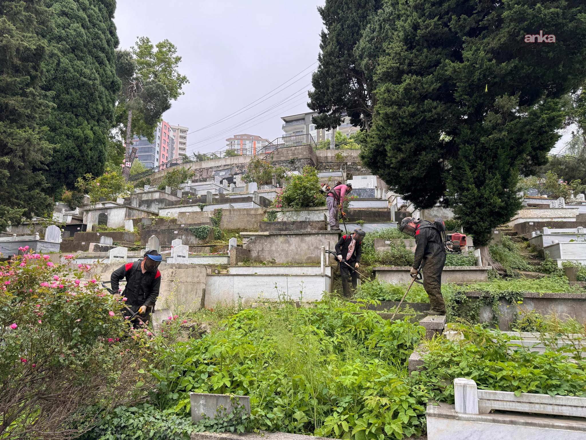 Giresun Belediyesi ekipleri, vatandaşların en zor günlerinde görev başında