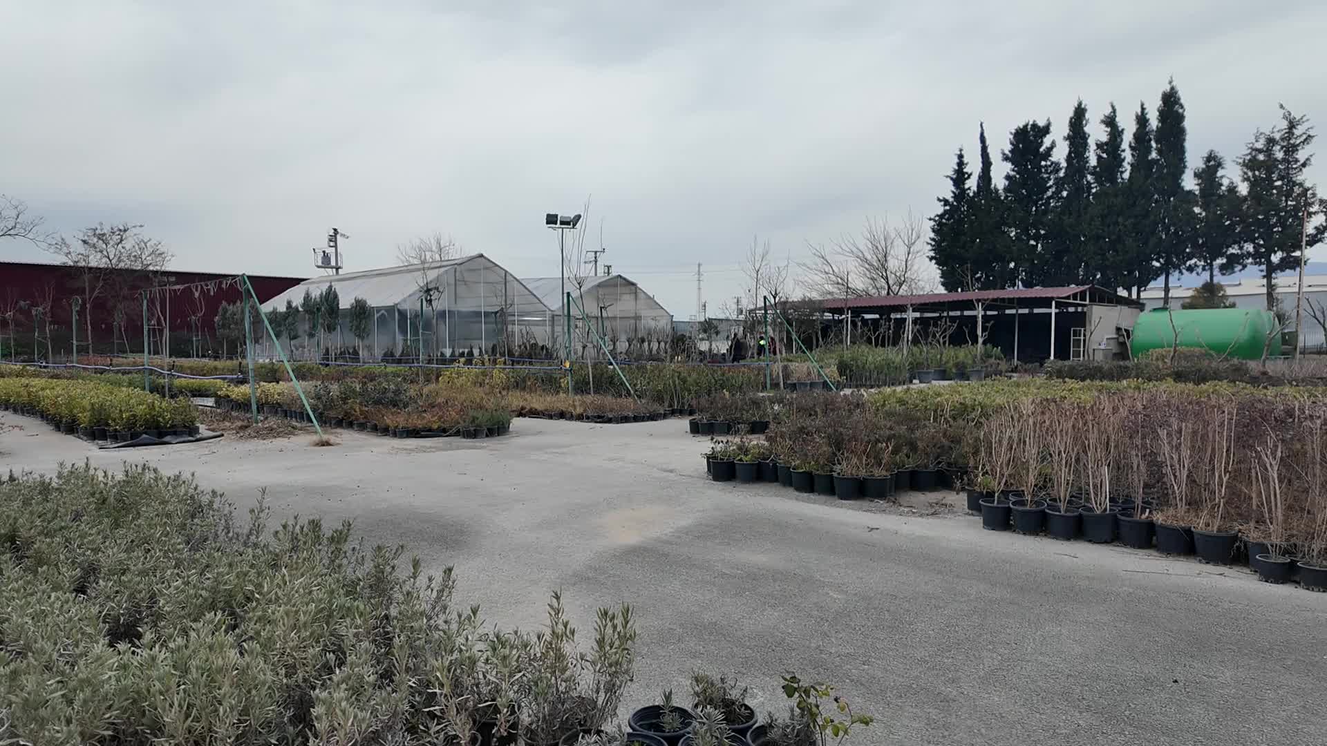Bornova kendi yeşilini kendi üretiyor: 2026’ya 75 bin fidanla hazırlık