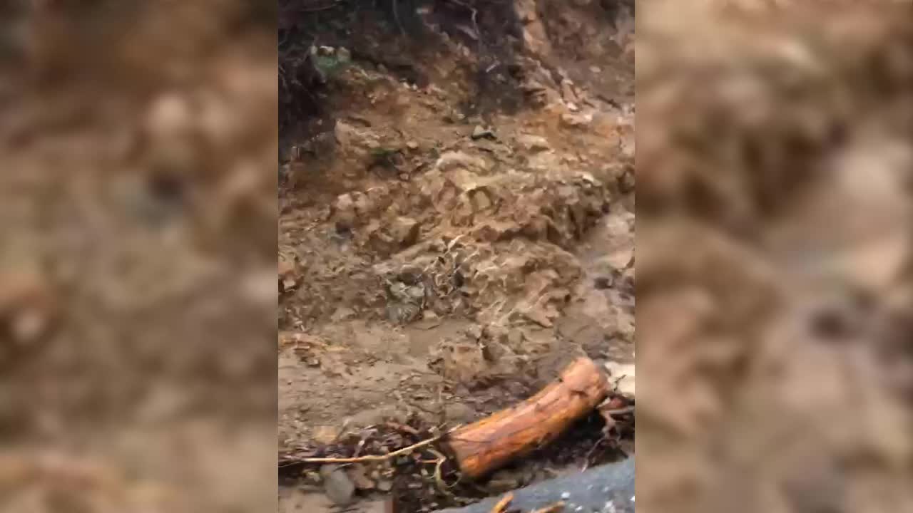 İZMİR'DEKİ SEL KABUSUNUN ÖTEKİ YÜZÜ... KÜTÜKLERLE GELEN FELAKET!