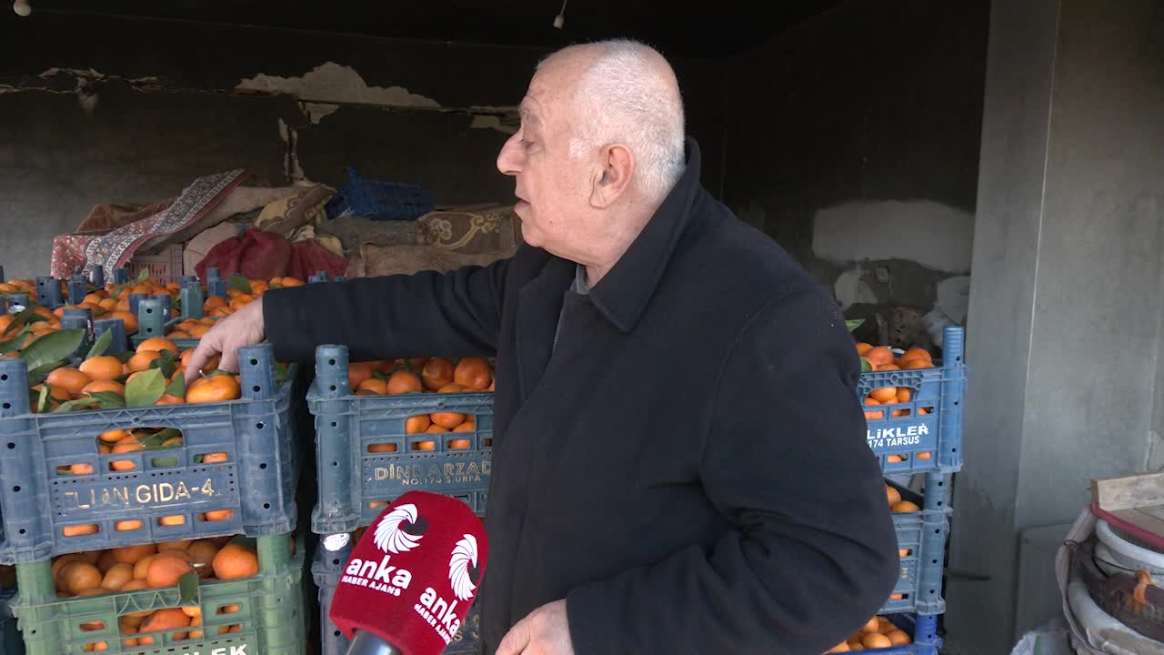6 Şubat depremlerinin üçüncü yılında Hataylı narenciye üreticisi dertli:  "1 ton mandalina satacağım, 1 kilo kıyma alacağım"