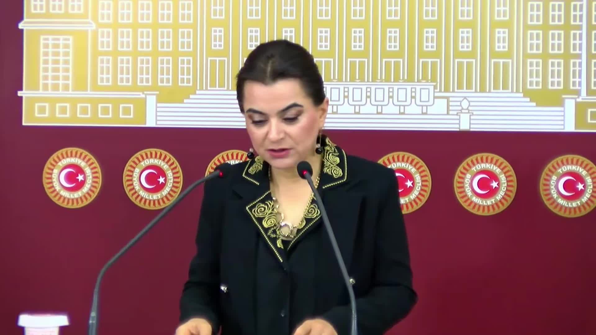 Gülistan Kılıç Koçyiğit: Mürşitpınar sınır kapısı açılsın ve halkımızın topladığı yardımlar ilk elden Kobani'ye ulaşsın