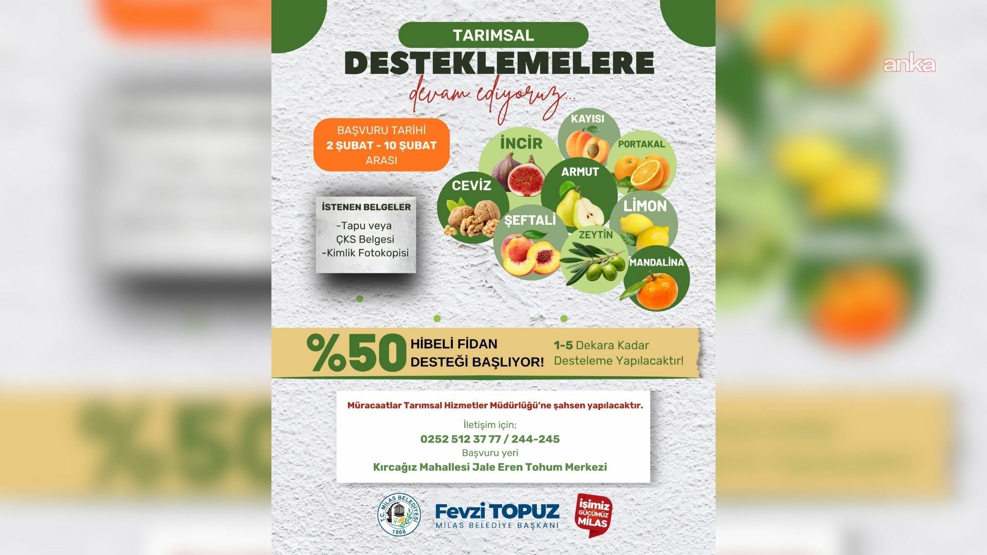 Milas Belediyesi'nden üreticilere yüzde 50 hibeli fidan desteği