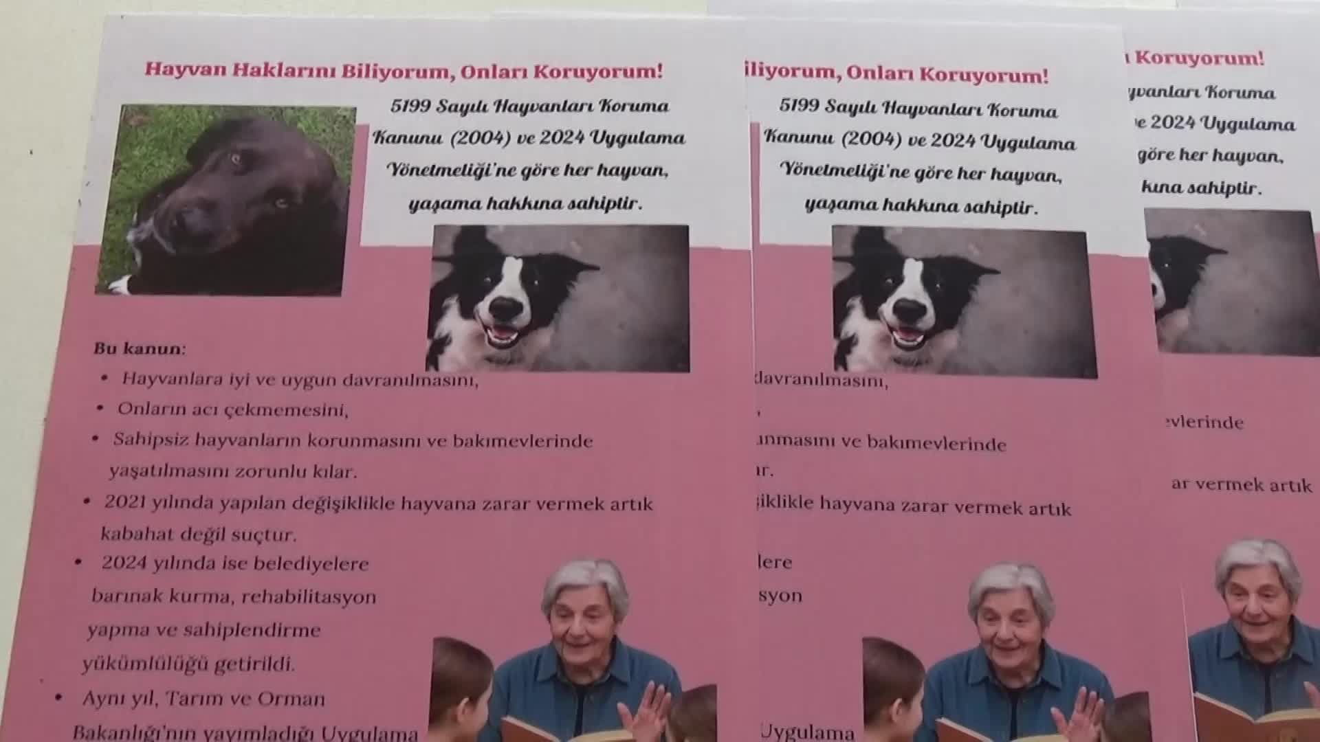 Sinop’ta "Birlikte Gözlem, Ortak Vicdan: Hayvan Hakları İçin Eğitici Bir Yolculuk" projesinin kapanış toplantısı yapıldı