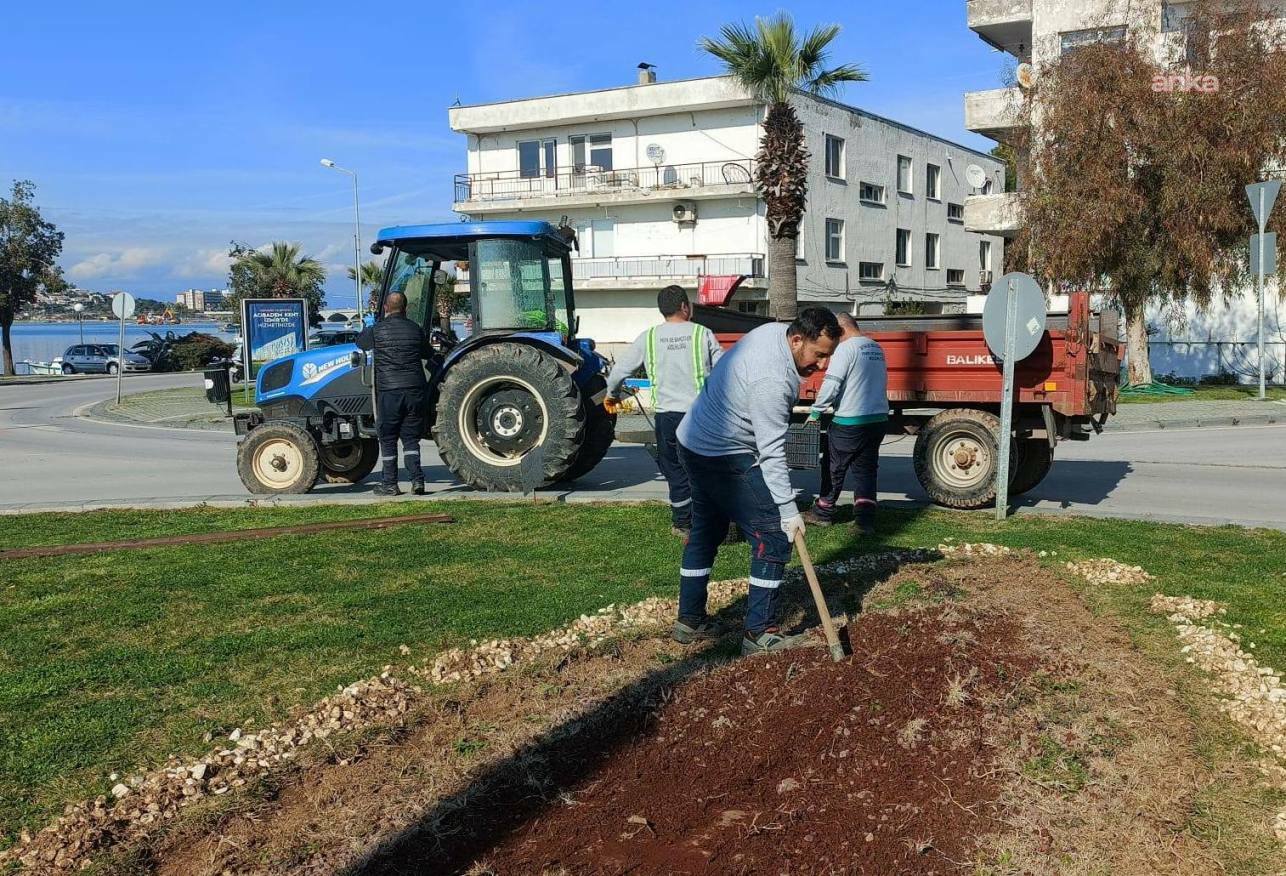 Ayvalık Belediyesi’nden yeşil alanlara dört mevsim bakım