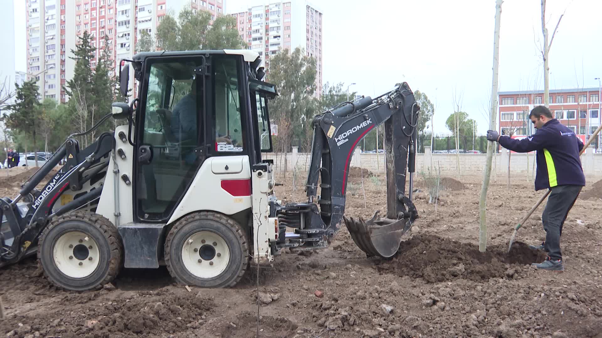 Betonun arasından orman çıktı