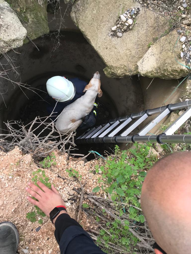 ANTALYA BÜYÜKŞEHİR İTFAİYESİ, KUYUYA DÜŞEN KÖPEĞİ KURTARDI