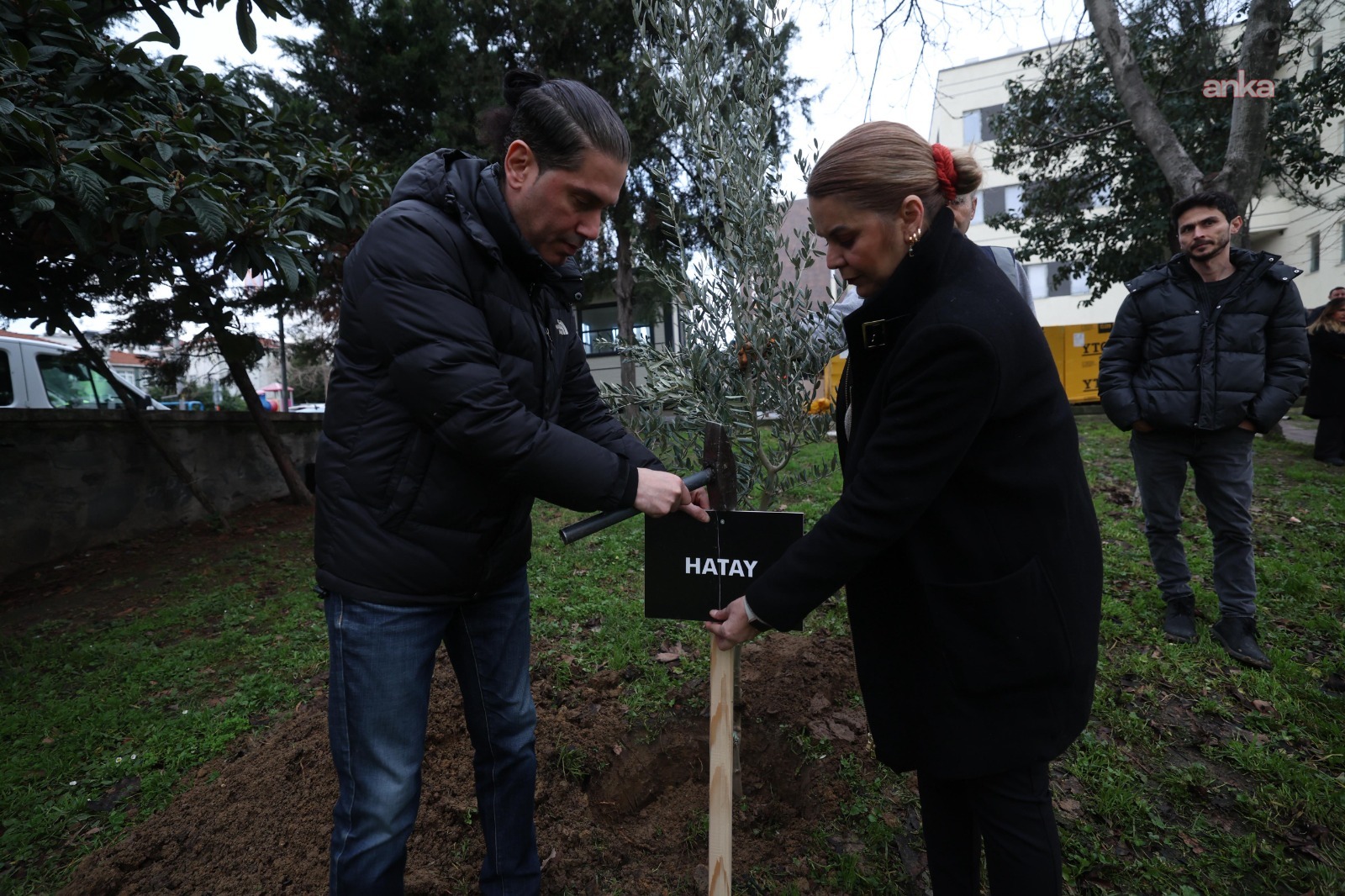 Bakırköy’de 11 ili temsilen 11 zeytin fidanı dikildi