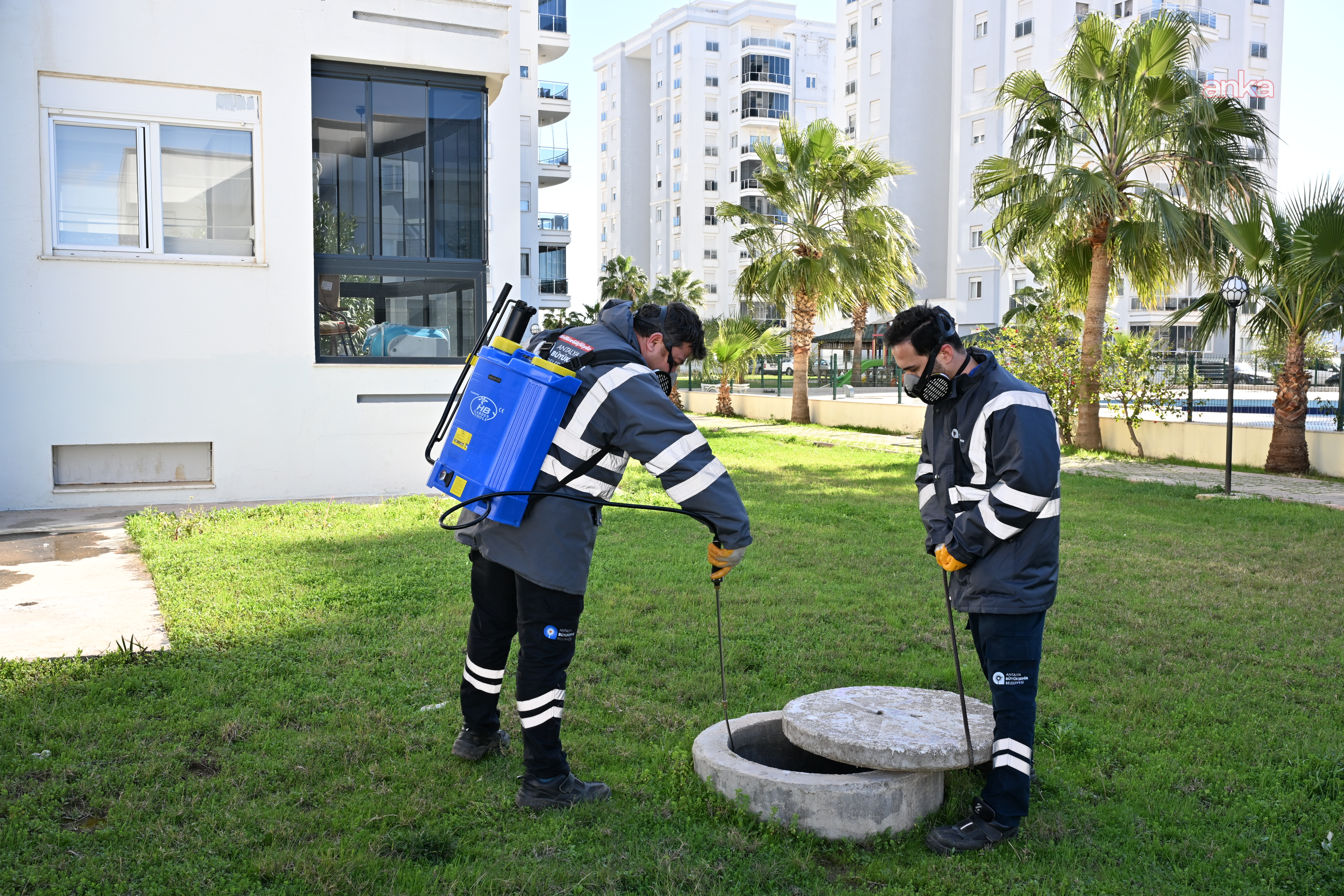Antalya Büyükşehir Belediyesi'nden haşere ve vektöre karşı kış mücadelesi