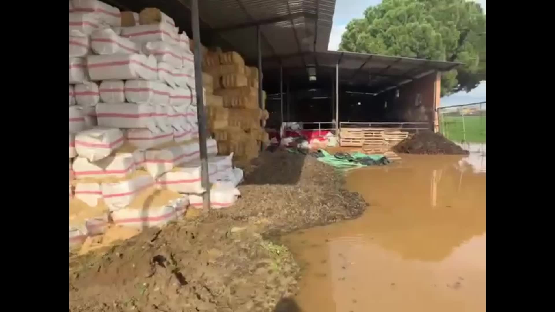 CHP’li Başevirgen, Manisa’da etkili olan yağış sonrası üreticileri ziyaret etti