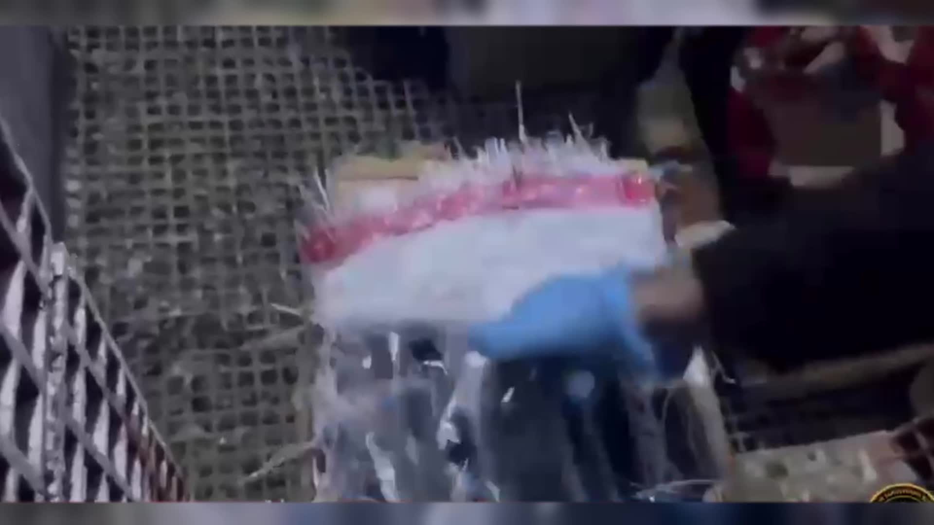 Karabağlar’da güvercin kümesinden cephanelik çıktı: 124 ruhsatsız tabanca ele geçirildi