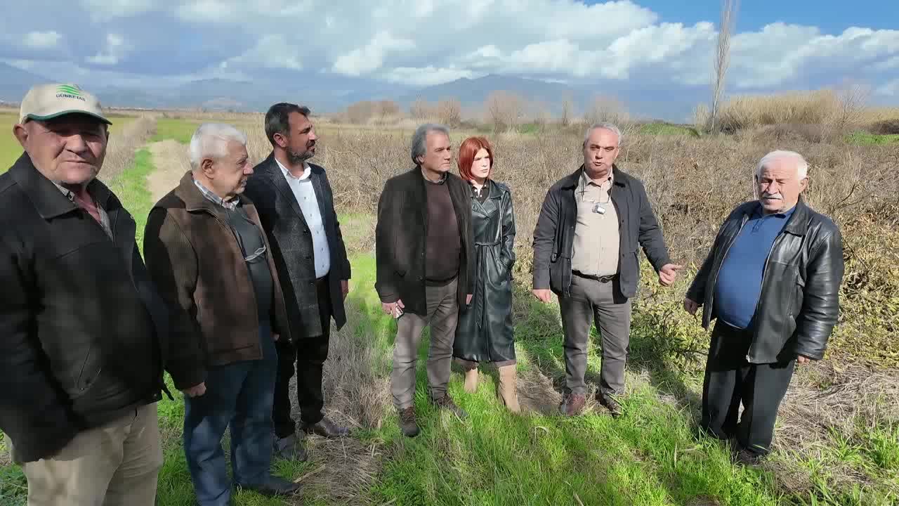 Aydın'da üreticiler portakal ağaçlarını söküyor: "İki evladıma vermediğim emeği buna verdim; emeğin karşılığını alamadık"