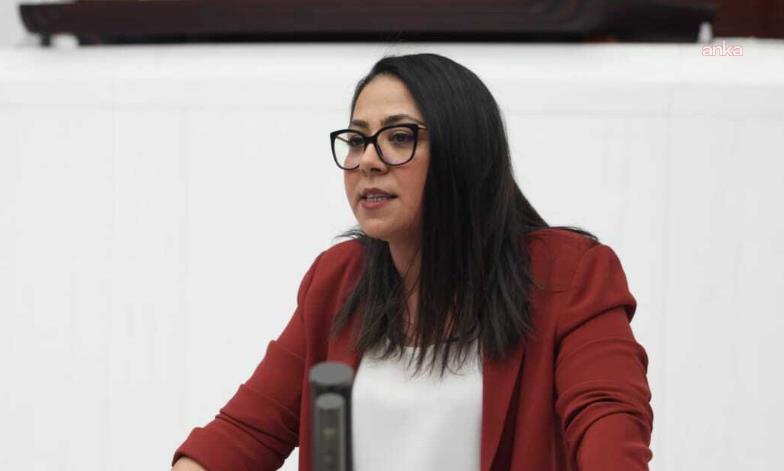TİP Sözcüsü Kadıgil'den Gürlek'in Adalet Bakanlığına atanmasına tepki: Saray Rejimi bu atamayla Anayasa'yı askıya almasını davul zurna çalarak kutluyor